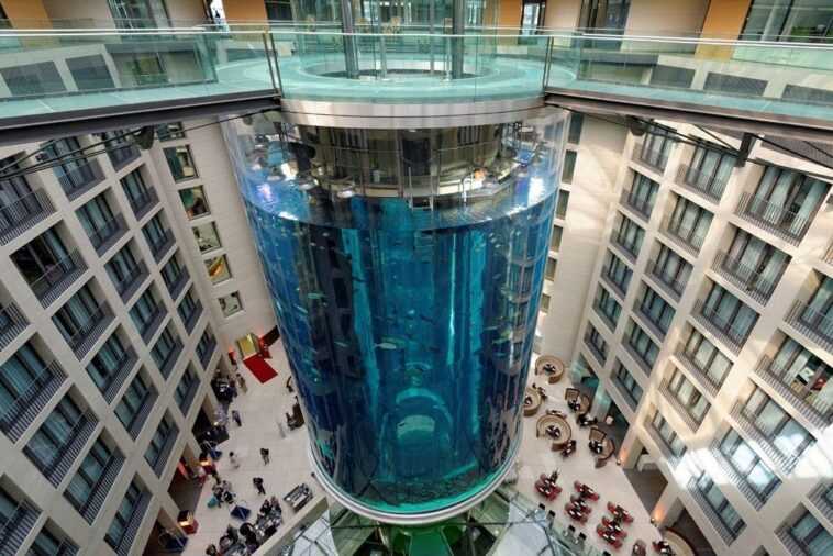 Comment est-il possible qu'un aquarium puisse exploser soudainement 1 Comment Est Il Possible Qu'un Aquarium Puisse Exploser Soudainement