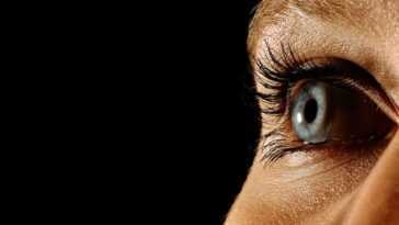 Maintenant nous savons comment les yeux trahissent ce que sera notre vrai choix 30 Maintenant Nous Savons Comment Les Yeux Trahissent Ce Que Sera