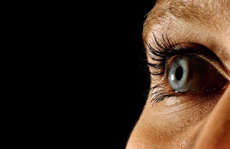 Maintenant nous savons comment les yeux trahissent ce que sera notre vrai choix 1 Maintenant Nous Savons Comment Les Yeux Trahissent Ce Que Sera