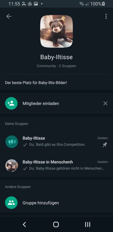 Présentation de la communauté WhatsApp