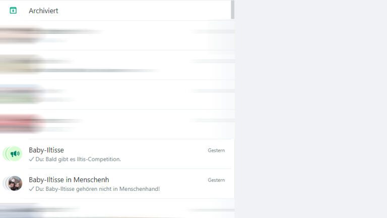 Communauté WhatsApp dans l'aperçu du chat