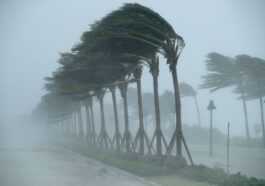 Les Dix Pires Catastrophes Climatiques De 2022 Ont Fait 2