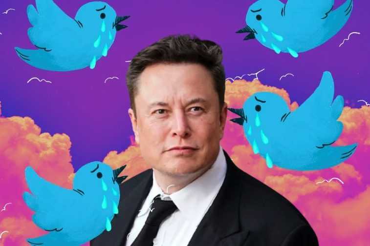 Elon Musk provoque encore sur Twitter : « Est-ce que vous me critiquez ? Alors t'as des petits testicules" 1 Elon Musk Provoque Encore Sur Twitter : « Est Ce Que