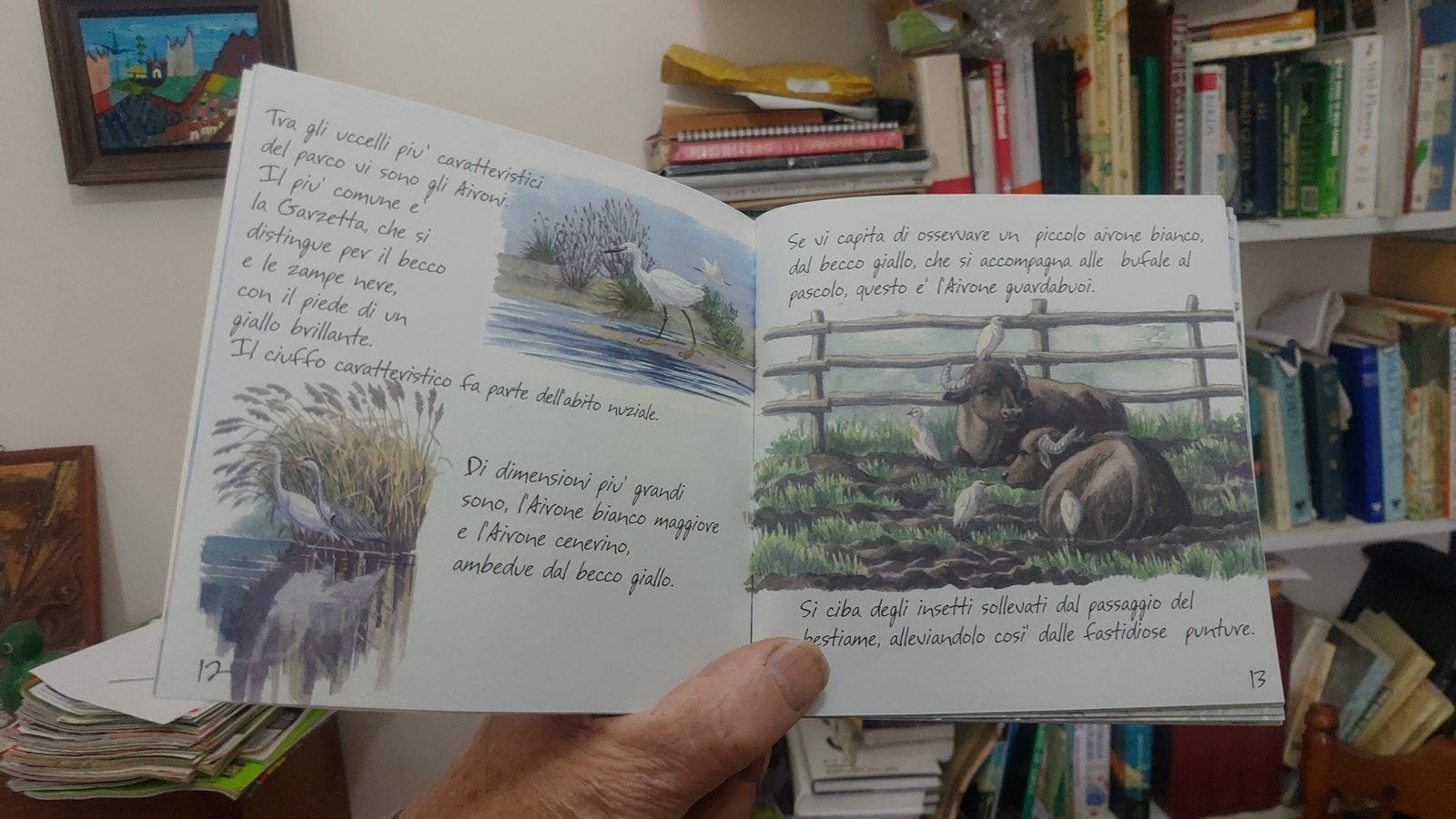 1672490899 757 Lhistoire de Nick Henson un ornithologue anglais qui etudie les
