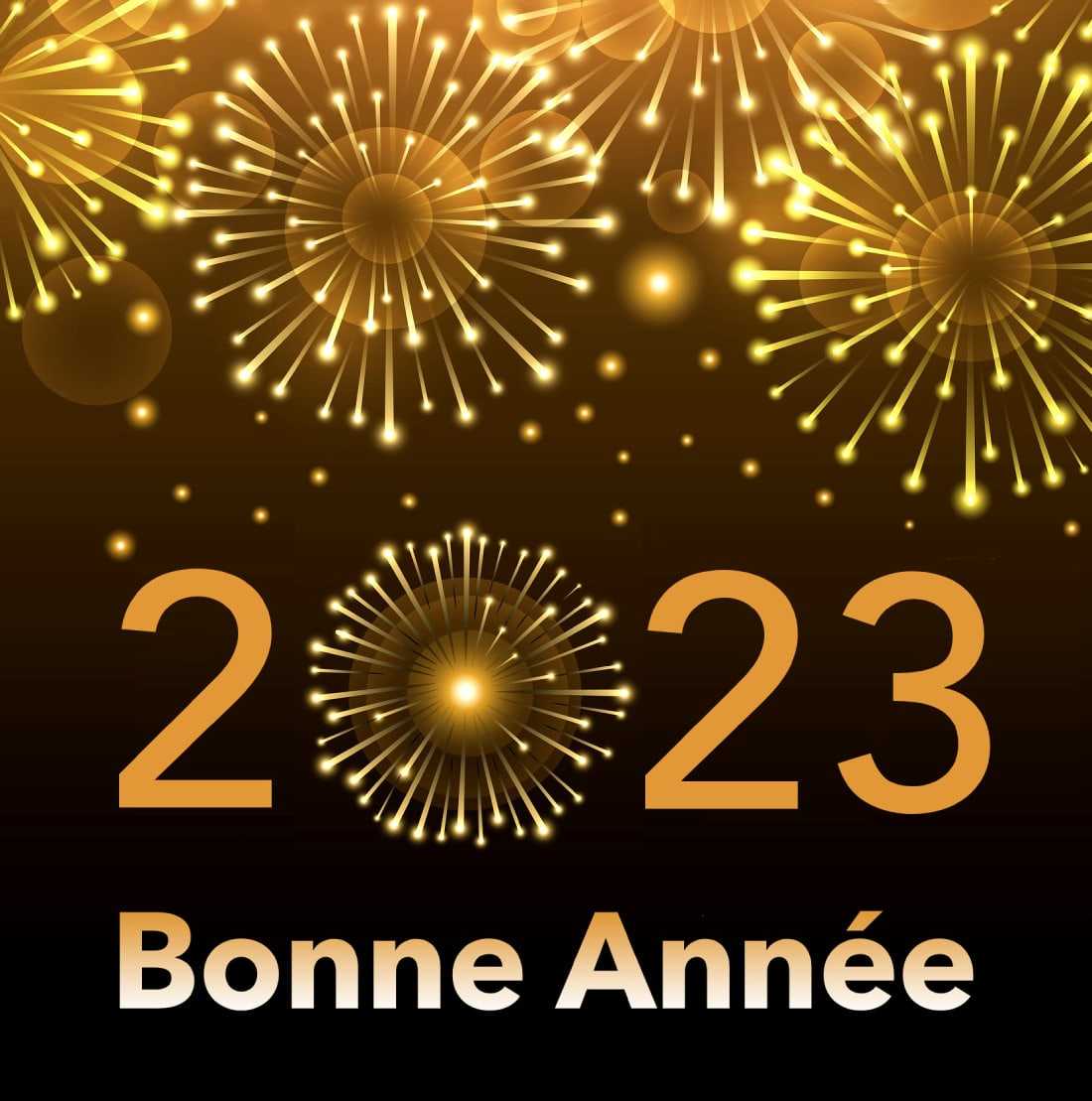 Bonne année 2023, images drôles et Gifs gratuits pour les vœux du Nouvel An 18 2023 Bonne Annee