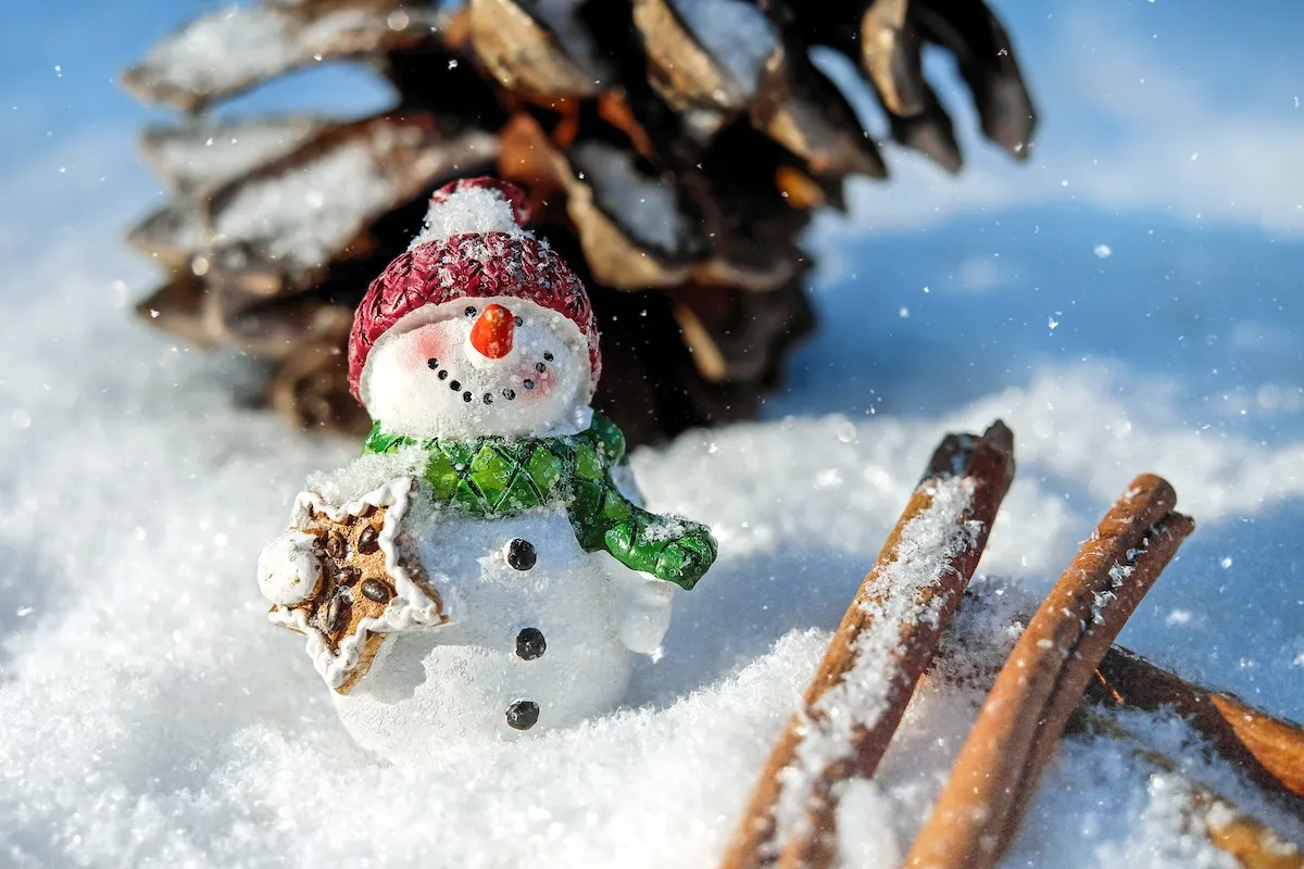 Joyeux Noël 2025 : les images, mèmes et GIF à partager le 25 décembre 19 Bon Réveillon Bonhomme Neige