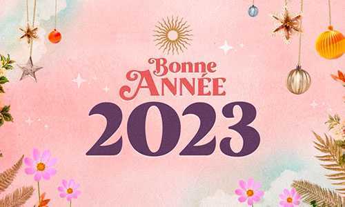 Bonne année 2023, images drôles et Gifs gratuits pour les vœux du Nouvel An 20 Bonne Annee 2023 Fete
