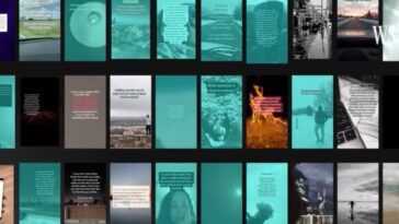 L'algorithme TikTok doit être plus transparent, après des inquiétudes concernant des recommandations nuisibles [U]