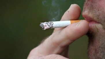 Chaque cigarette vous vole 20 minutes de vie : 50 % des fumeurs continuent de payer le prix fort de cette addiction 9 Immagine