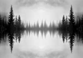 Microsoft Retire Son Application Soundscape, Mais Rendra Le Code Du