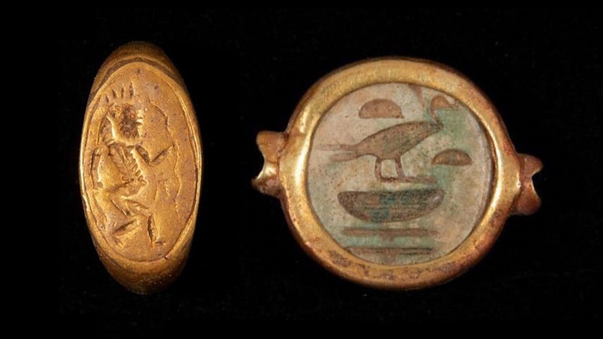 Un trésor vieux de 3 500 ans découvert dans une tombe égyptienne : les bijoux datent du règne d'un pharaon hérétique 2 Deux des artefacts précieux trouvés. Crédit : Ministère du Tourisme et des Antiquités