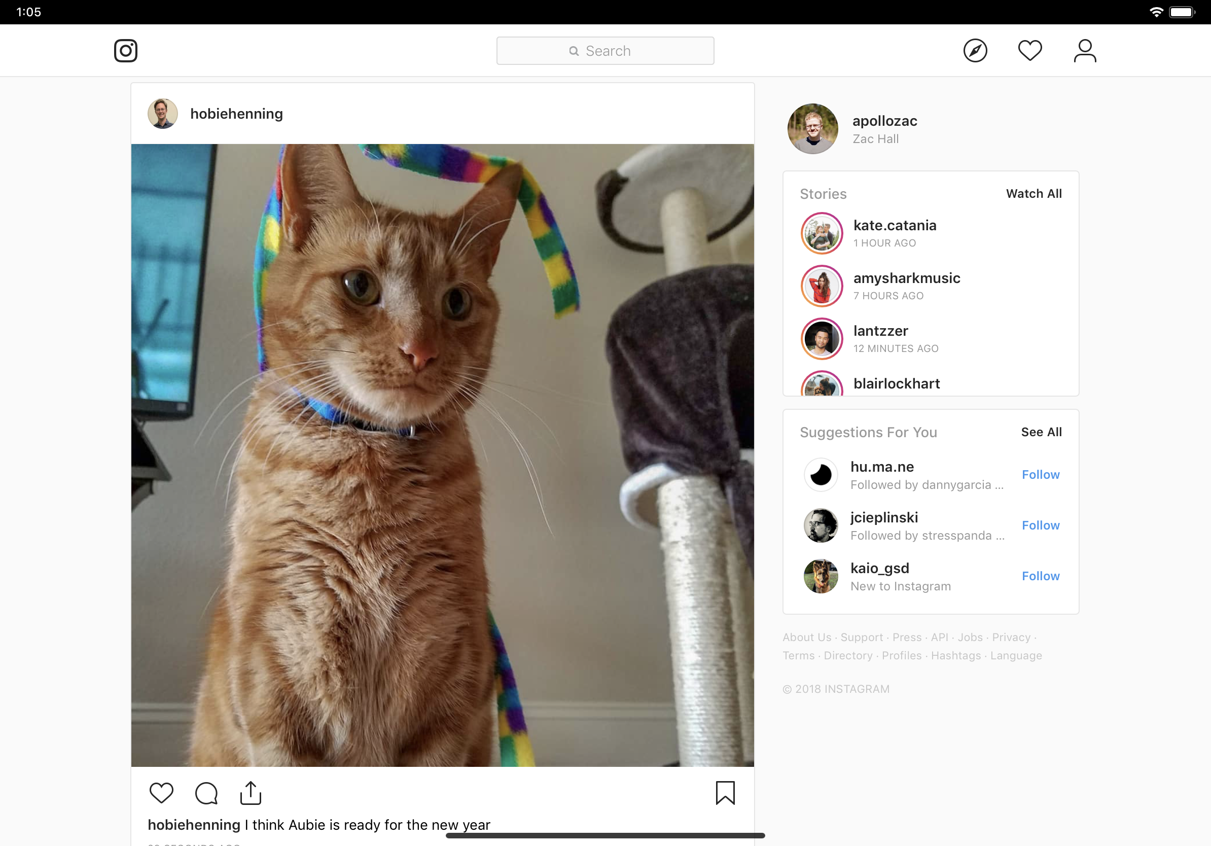 It's 2023, Instagram should make an iPad app 1672588808 952 Nous sommes en 2023 Instagram devrait faire une application iPad