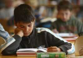 On Sait Maintenant Pourquoi Les Enfants Apprennent Plus Vite Que