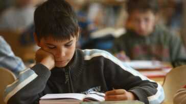 On Sait Maintenant Pourquoi Les Enfants Apprennent Plus Vite Que