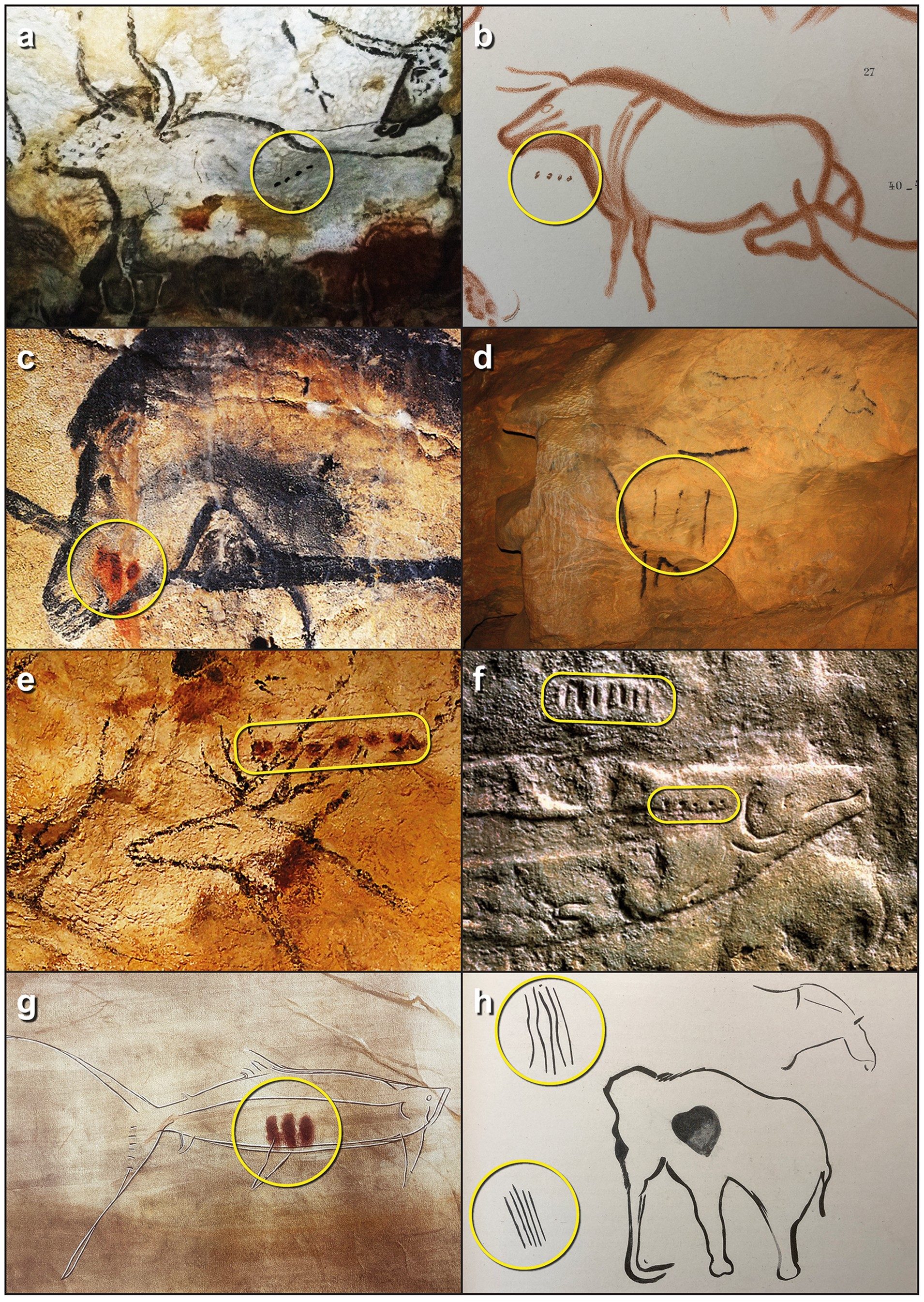 La signification mystérieuse des dessins de l'ère glaciaire révélée par un restaurateur de meubles 3 Crédit : Cambridge Archaeological Journal