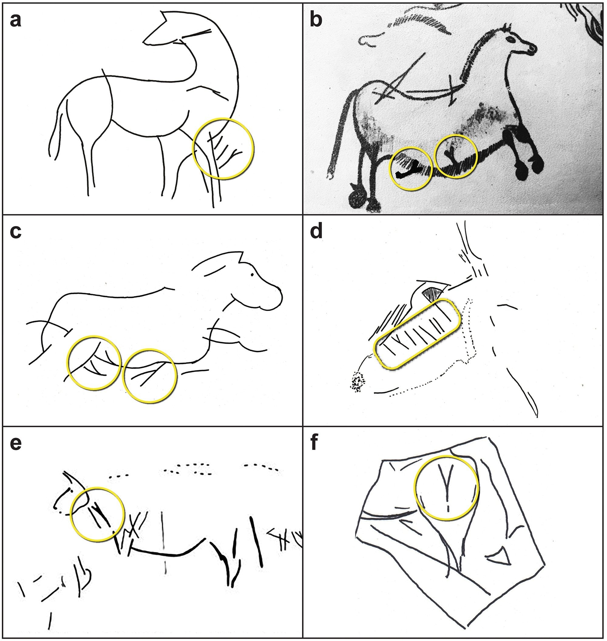 La signification mystérieuse des dessins de l'ère glaciaire révélée par un restaurateur de meubles 4 Crédit : Cambridge Archaeological Journal