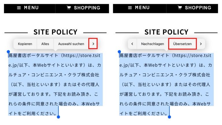 iPhone : traduisez facilement des sites Web et des textes 4 Traduire uniquement les parties