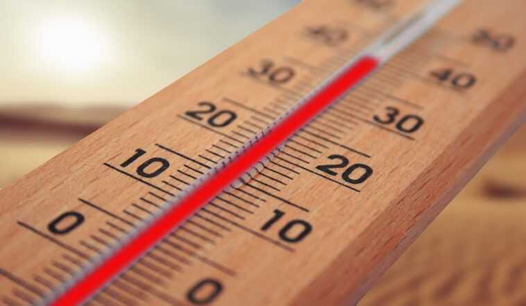 ExxonMobil a prédit le changement climatique dès les années 1970 : les scientifiques accusent 1 ExxonMobil a prédit le changement climatique dès les années 1970 : les scientifiques accusent