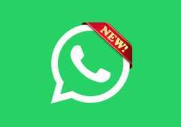 5 news qui sont arrivées sur WhatsApp cette semaine et qu'il ne faut pas manquer