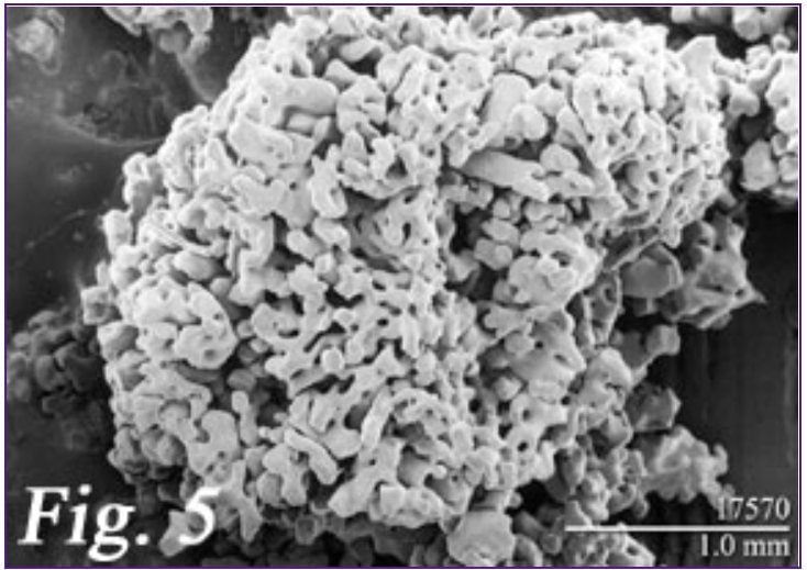Une particule de graupel observée au microscope électronique à balayage à basse température (LT–SEM) / Crédit : USDA