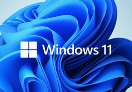 Windows 11