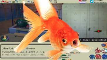 L'histoire bizarre d'un petit poisson qui a révélé la carte de crédit de son maître à des milliers de personnes