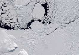 Le destin de l'Antarctique n'est pas inévitable : "La fonte des glaces peut encore être arrêtée"