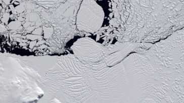 Le destin de l'Antarctique n'est pas inévitable : "La fonte des glaces peut encore être arrêtée"