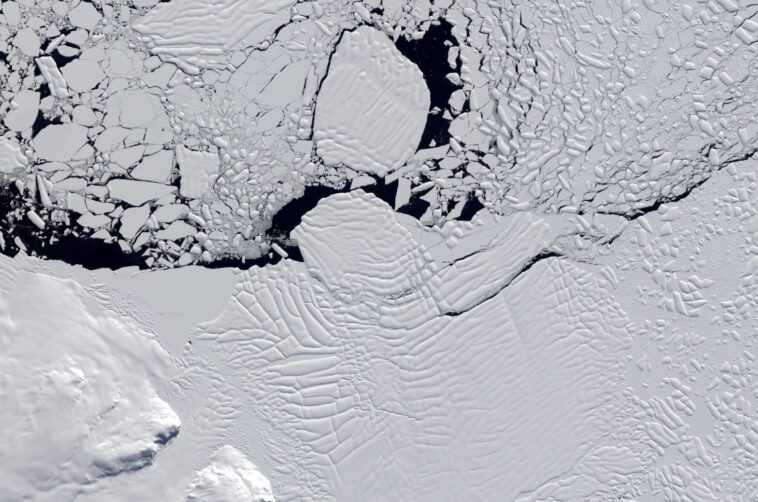 Le destin de l'Antarctique n'est pas inévitable : "La fonte des glaces peut encore être arrêtée" 1 Le destin de l'Antarctique n'est pas inévitable : "La fonte des glaces peut encore être arrêtée"