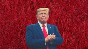 Donald Trump revient sur Facebook et Instagram, la nouvelle position de Meta : "Nous accueillons tous les politiciens"