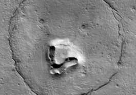 Il y a un ours sur Mars : Adorable photo prise par une sonde de la NASA