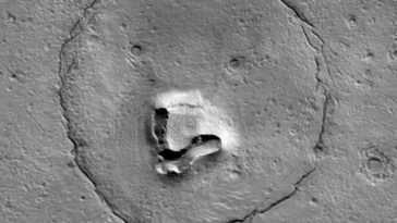 Il y a un ours sur Mars : Adorable photo prise par une sonde de la NASA