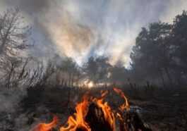 Événements météorologiques extrêmes aggravés par le réchauffement climatique d'origine humaine