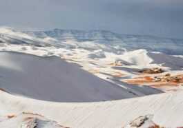 Le désert du Sahara couvert de neige : les images évocatrices et spectaculaires