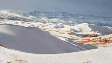 Le désert du Sahara couvert de neige : les images évocatrices et spectaculaires
