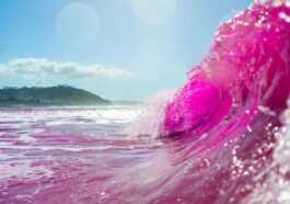 Pourquoi les scientifiques ont déversé du colorant rose dans l'océan Pacifique