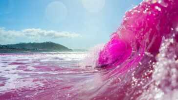 Pourquoi les scientifiques ont déversé du colorant rose dans l'océan Pacifique
