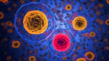Cancer : découverte d’une molécule qui bloque la migration des métastases : un vaccin possible et de nouvelles thérapies 19 Immagine
