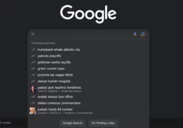 Comment désactiver les recherches de tendances sur Google (mobile et PC) 74 Comment désactiver les recherches de tendances sur Google