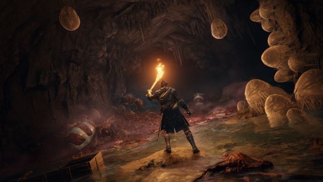 Elden Ring est le jeu avec le plus de prix du jeu de l'année, surpasse The Last of Us Part II 2 Anneau d'Elden