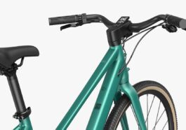 Fiido C22 E Bike Vélo Electrique