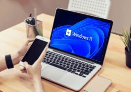 Windows 11