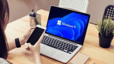 Windows 11
