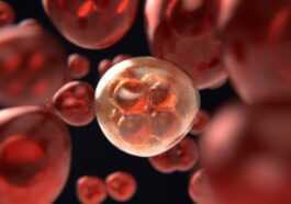 Le cancer de la prostate peut être tué en ciblant une seule enzyme : les espoirs des tests en laboratoire