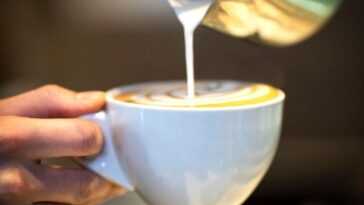 Nous venons de comprendre pourquoi ajouter du lait au café est bon pour la santé 3 Nous venons de comprendre pourquoi ajouter du lait au café est bon pour la santé