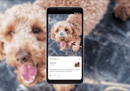 Google Lens Search