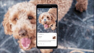 Google Lens Search peut rechercher l'écran sur Android 10 Google Lens Search