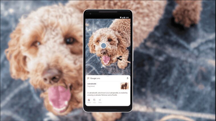 Google Lens Search peut rechercher l'écran sur Android 1 Google Lens Search