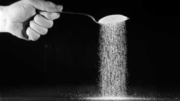Pourquoi le fructose peut être la cause de la maladie d'Alzheimer et comment il affecte le fonctionnement du cerveau 26 Pourquoi le fructose peut être la cause de la maladie d'Alzheimer et comment il affecte le fonctionnement du cerveau
