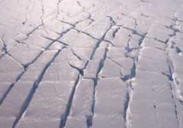L'effondrement du glacier Thwaites en Antarctique entraînera une élévation du niveau de la mer de plus d'un demi-mètre